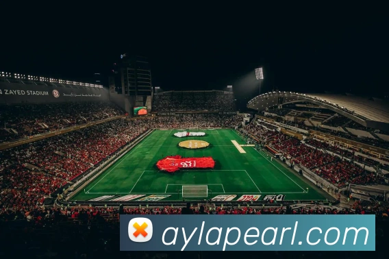 App 展示图